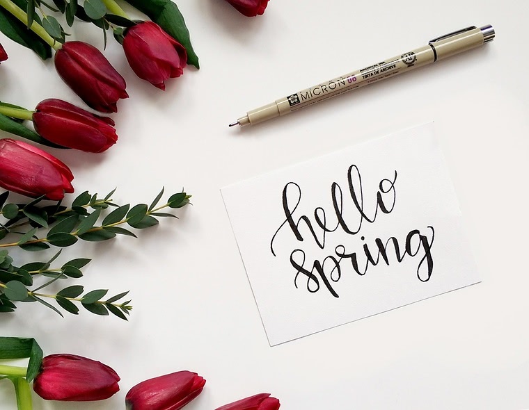 Am 20. März ist Frühlingsanfang!