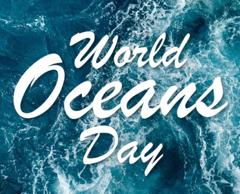 Am 08. Juni ist der „Tag der Ozeane“